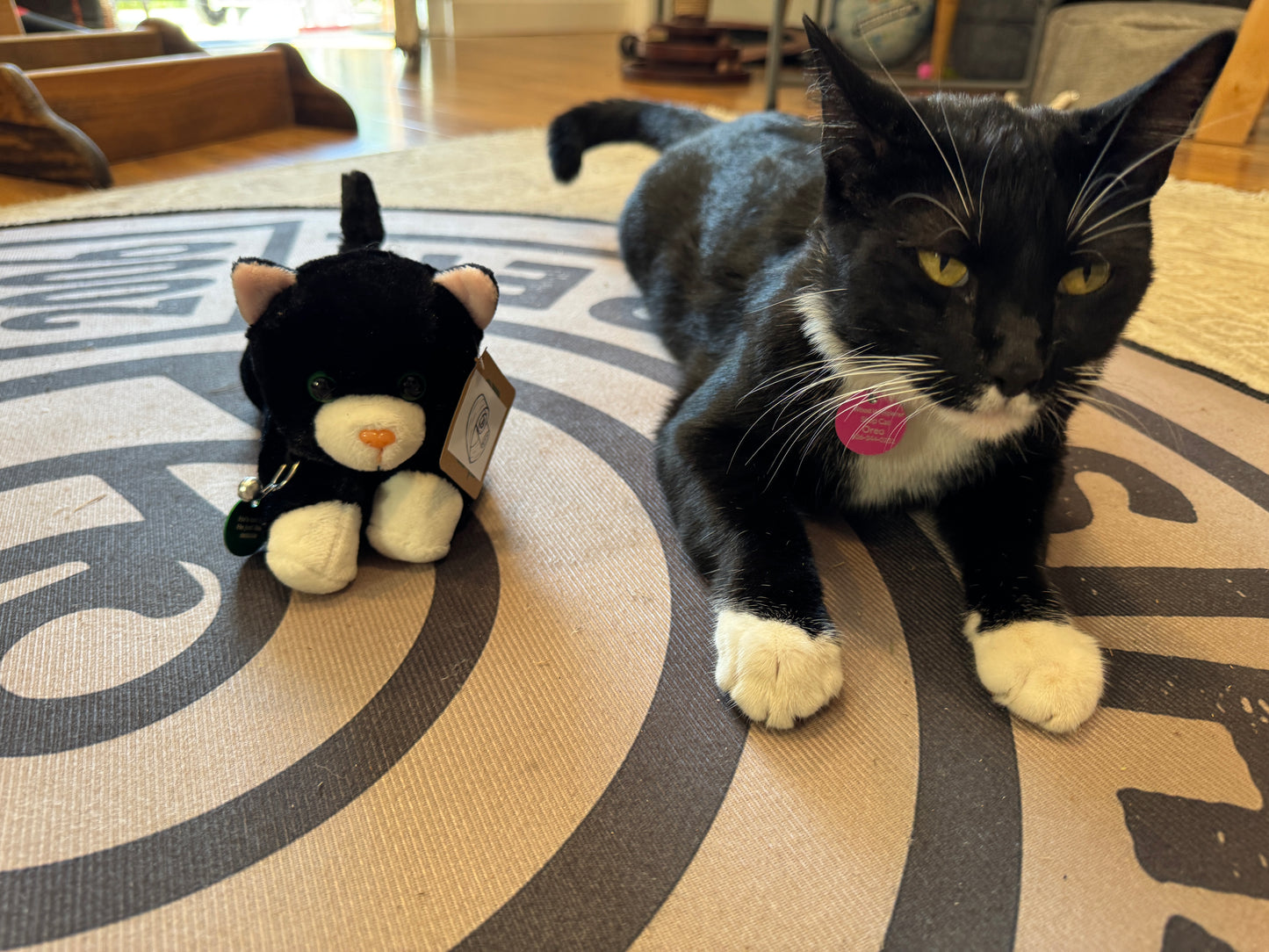 Oreo Plushie