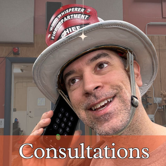 Consultations!